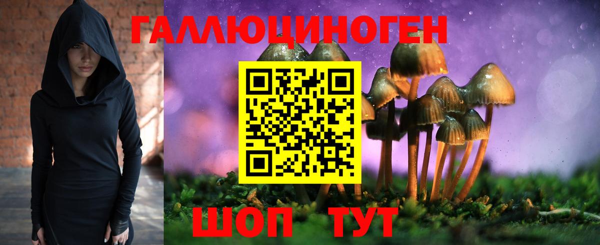 Псилоцибиновые грибы GOLDEN TEACHER  Псилоцибиновые грибы ЛСД  Вход с VPN  Новочебоксарск 