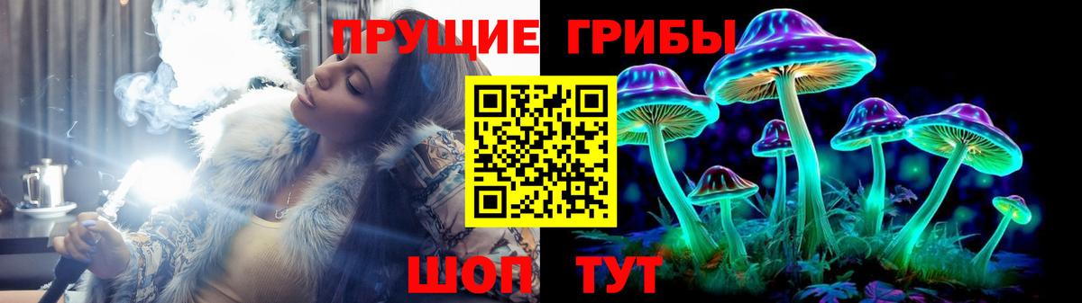 Псилоцибиновые грибы Psilocybine cubensis Новочебоксарск